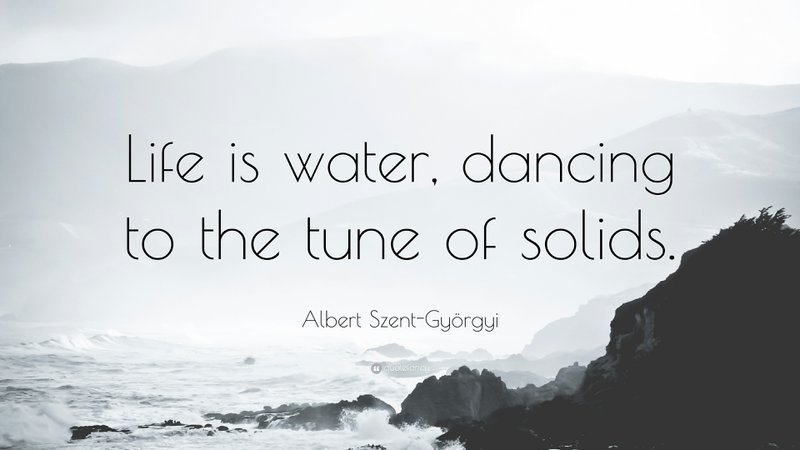 Albert Szent Gy rgyi Quote Life is water dancing to the tune of 177c5feaff9eff2fd7e85a23811b6a98 800