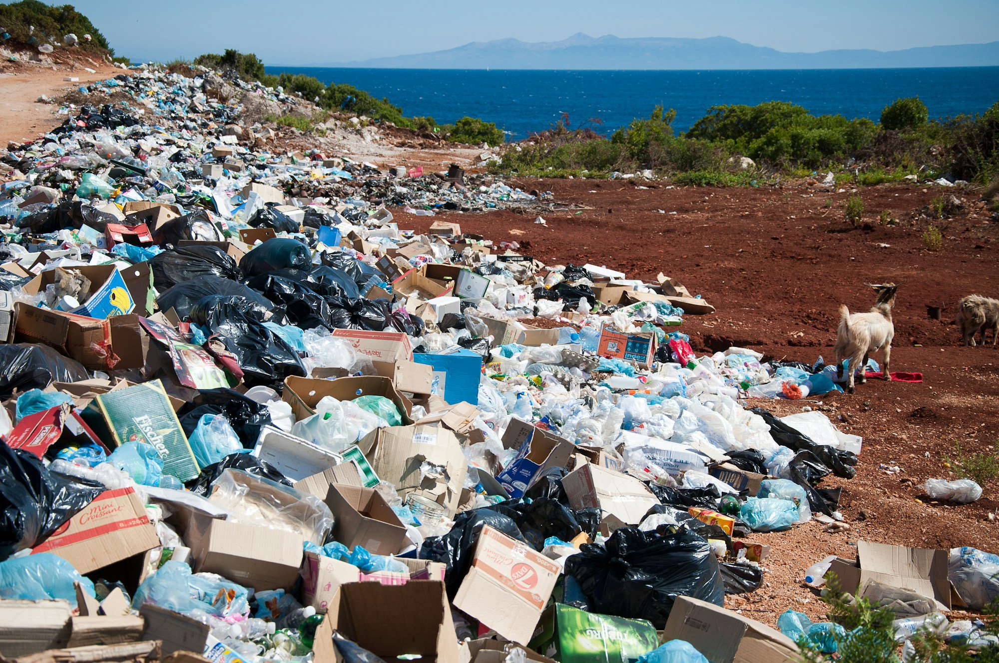 Plastics.. and yet another reason to drink enough good water! cover